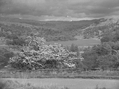 Vista sobre um lago em Rydal de Joseph Hardman