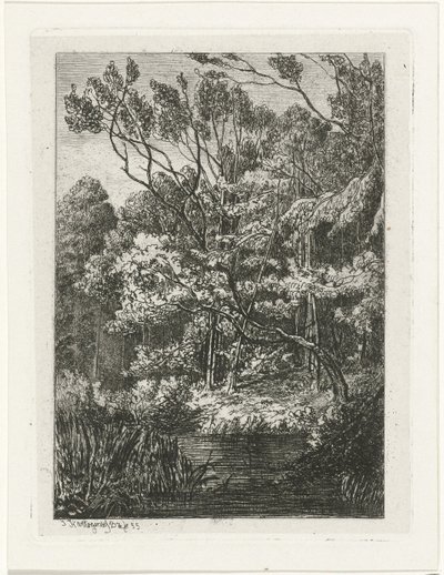 Vista da floresta de Joseph Hartogensis
