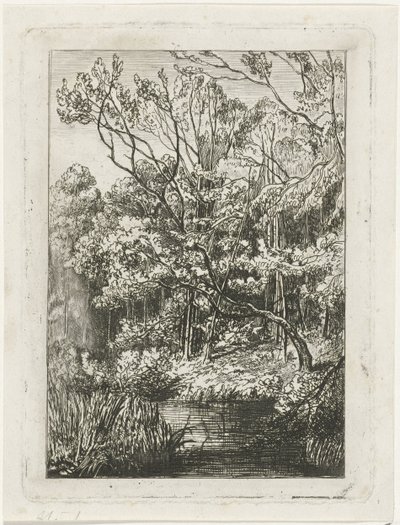 vista da floresta de Joseph Hartogensis