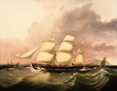 O Barque 