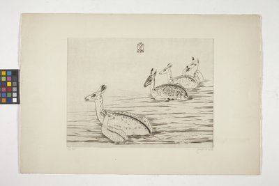 Cerfs Indochinois I (Cervo Indochinês I) (gravura em papel de nata tecida) de Joseph Hecht