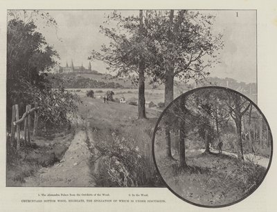 Churchyard Bottom Wood, Highgate, cuja espoliação está em discussão de Joseph Holland Tringham