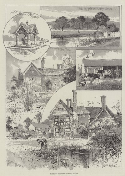 Esboços Rambling, Ockley, Surrey de Joseph Holland Tringham
