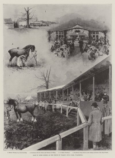 Venda de cavalos Shire no Stud-Farm do Príncipe de Gales, Wolferton de Joseph Holland Tringham