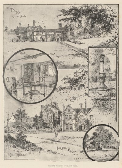 Selborne, o lar de Gilbert White de Joseph Holland Tringham