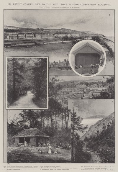 Presente de Sir Ernest Cassel ao Rei, alguns Sanatórios de Consumo Existentes de Joseph Holland Tringham