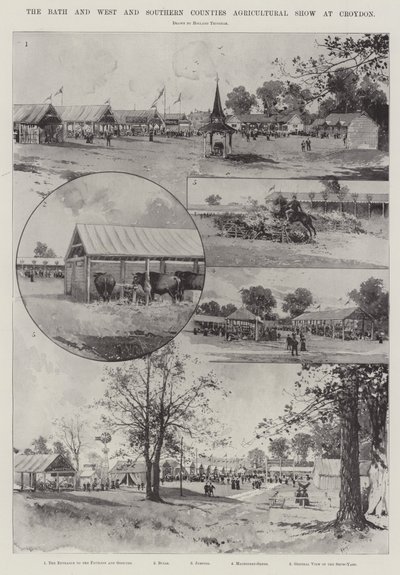 The Bath and the West and Southern Counties Agricultural Show em Croydon de Joseph Holland Tringham