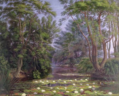 Rio Cherwell Waterlilies, 1851 de Joseph Mallord William Turner