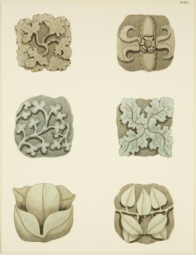 Pedras da virilha (chefes) no tecto de St Mary Redcliffe (aguarela sobre papel) de Joseph Manning