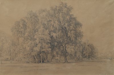 Grupo de bétulas no parque do Castelo de Seebenstein, na Baixa Áustria de Joseph Martin Höger