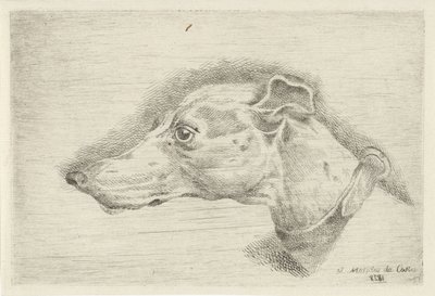 Cabeça de um galgo de Joseph Mendes da Costa