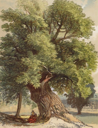 Old Chestnut (litografia a cores) de Joseph Needham