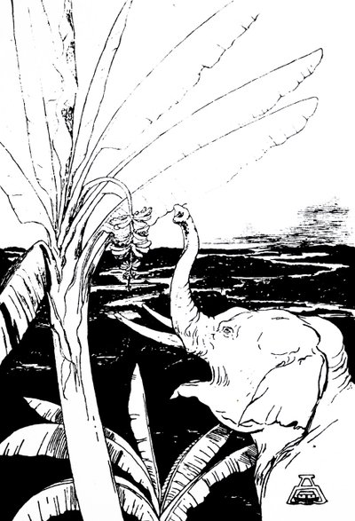 ilustração de um Elefante de Kipling (gravura) de Joseph Rudyard Kipling