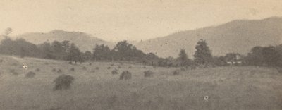 Paisagem com árvores e montanhas,c. 1900 (foto) de Joseph T. Keiley