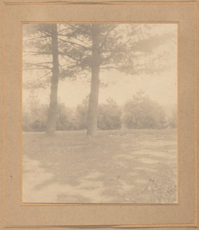 Paisagem com árvores, c. 1900. de Joseph Turner Keiley