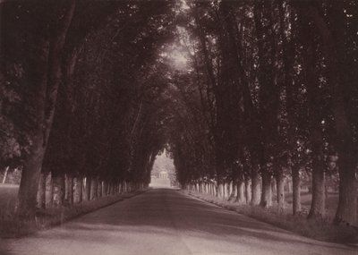 Entrada de automóveis, Château de Grand-Vaux, Savigny-sur-Orge, casa da família Vigier, c. 1855 (foto) de Joseph Vigier