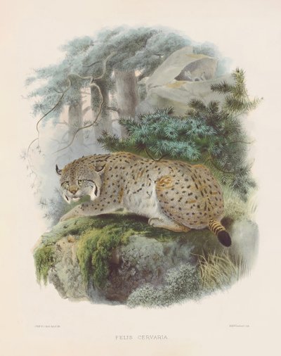  de Joseph Wolf
