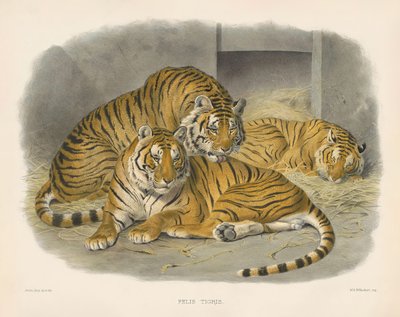  de Joseph Wolf
