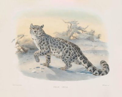  de Joseph Wolf