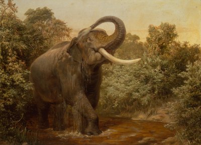 O Monstro Tusker (óleo sobre tela) de Joseph Wolf