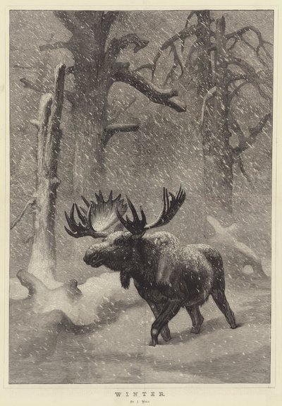 Inverno de Joseph Wolf