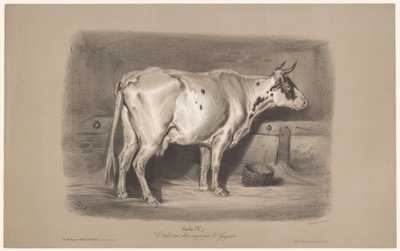 Vaca em um estábulo Vache (título no objeto) Estudos em animais em dois tipos de giz (título da série) Etude aux deux crayons par Z. Gengembre (título da série no objeto) de Joseph Zephyris Gengembre