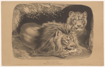 leão e leoa Lion et Lionne (título no objeto) Estudos em animais em dois tipos de giz (título da série) Etude aux deux crayons par Z. Gengembre (título da série no objeto) de Joseph Zephyris Gengembre