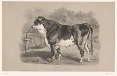 Touro num prado
Taureau (título sobre o objecto)
Estudos com animais em dois tipos de giz (título da série)
Étude aux deux crayons par Z. Gengembre (título da série sobre o objecto) de Joseph Zephyris Gengembre