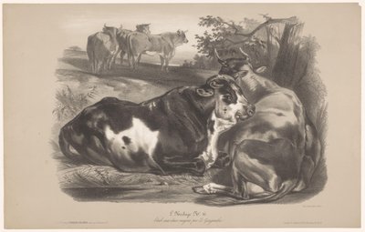 Cinco vacas num prado
L