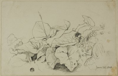 Moita de folhas e flores de Joshua Cristall