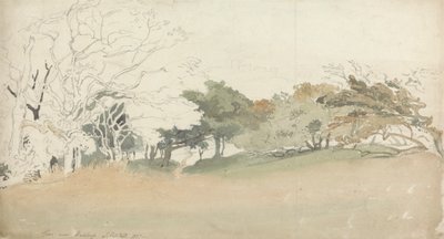 Árvores perto de Hastings de Joshua Cristall