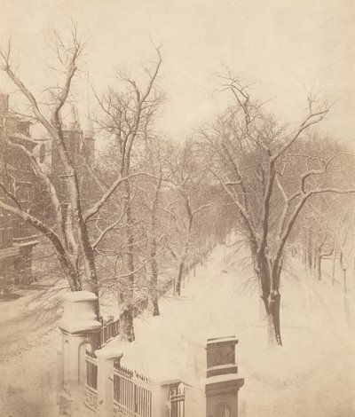 Cena de neve em Boston Common, década de 1850 (foto) de Josiah Johnson Hawes