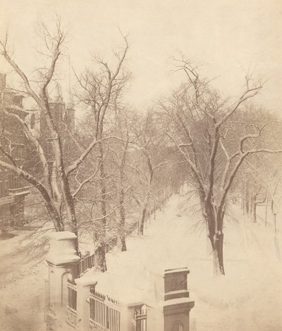 Cena de neve comum de Boston de Josiah Johnson Hawes