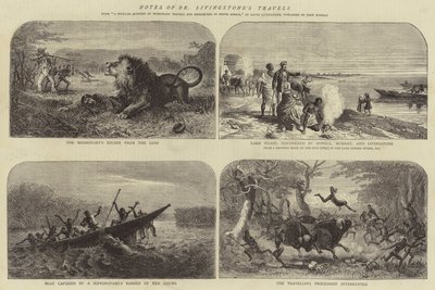 Notas das viagens do Dr. Livingstone de Josiah Wood Whymper