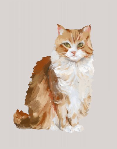 Retrato de um gato ruivo e fofinho de Josie George