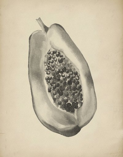 Meia papaia tropical de Josie George