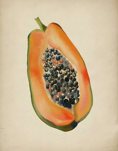 Meia papaya vibrante de Josie George