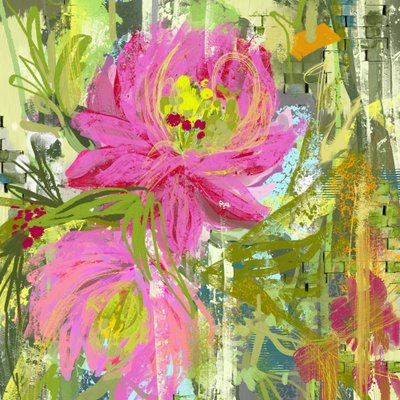 Flores de um rosa vibrante de Josie George