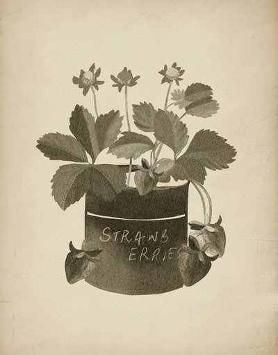 Ilustração vintage de morangos de Josie George