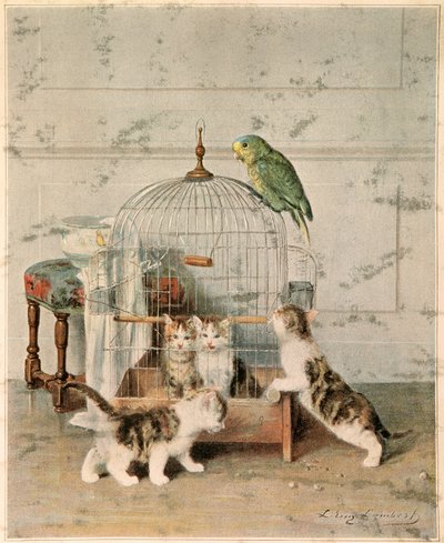 Chatons de Josse Photo