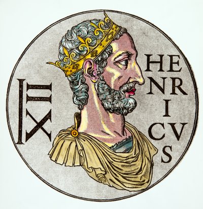 Henri l oiseleur de Josse Photo