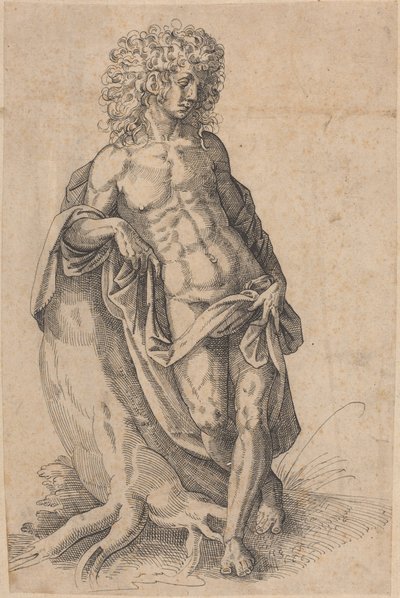 Apolo, c.1580 (pena e tinta) de Jost Amman