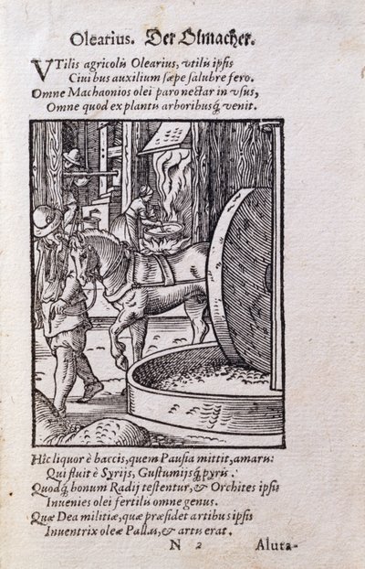 Oil Maker, ilustração da edição latina do 