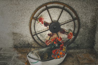 Flores para os marinheiros, da série Chapelle du Canal, 2016 (fotografia) de Joy Lions