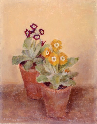 Um par de papoilas (pintura) de Joyce Haddon