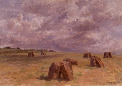 Pedras simples (pintura) de Joyce Haddon