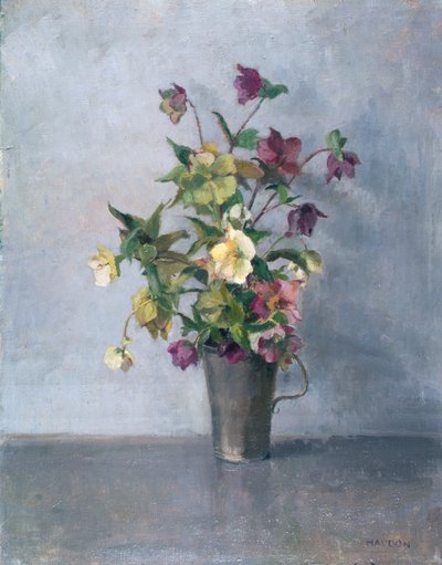 Ainda vida com flores de Joyce Haddon