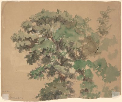 Árvore [verso] de Jr. Enoch Wood Perry