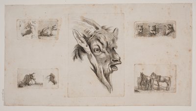 Cavalos, vacas, gatos e uma cabeça de cabra. Folha de prova com cinco gravuras de Jørgen V. Sonne
