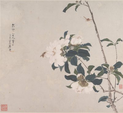 Insetos e flores. de Ju Lian